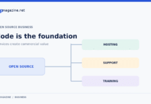 Open Source Is Not Your Pricing Strategy: How Small Software Companies Can Build Sustainable Revenue